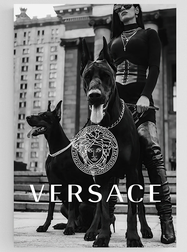 Versace Dogs