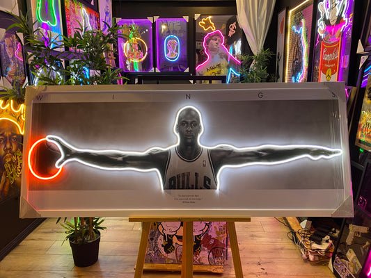 Jordan Wing LED | 630x1540mm